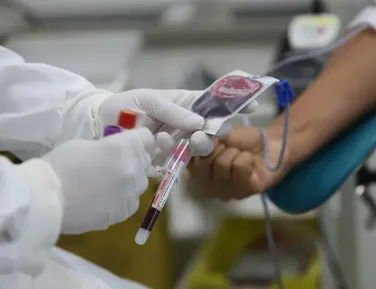 Doação de sangue no Carnaval: veja horários de funcionamento do Hemoba - Imagem