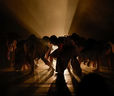 Corpos que contam histórias: Jornada de Dança da Bahia abre celebração dos 15 anos - Imagem