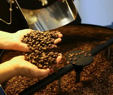 Cafés especiais do Brasil invadem o deserto e devem movimentar US$ 254 milhões - Imagem