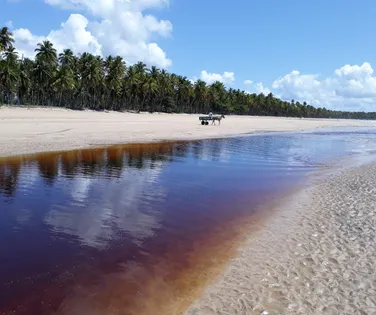 Nem toda restinga pode ser APP: o julgamento do STJ e a repercussão nacional do REsp 1.827.303/SC - Imagem