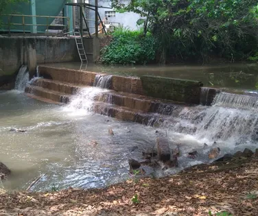 Fábrica de papel polui Rio Pitinga e compromete pesca e sustento local - Imagem