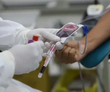 Doação de sangue no Carnaval: veja horários de funcionamento do Hemoba - Imagem