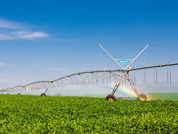 O Brasil reconhece o Brasil - Imagem