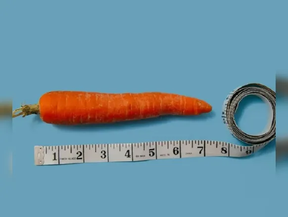 Tamanho do pênis foi fator evolutivo antes da invenção das roupas - Imagem