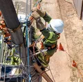'Gatonet': Cabos irregulares de telefonia e internet serão removidos na Bahia imagem
