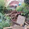 Casa desaba e 10 pessoas ficam desalojadas com chuva na Bahia imagem