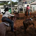 Histórico: Fenagro 2025 movimenta mais de R$ 120 milhões em Salvador imagem