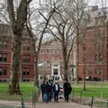Estudos de Harvard na Bahia imagem