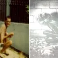 Fim de mistério? Exército revela a verdade sobre "ET de Varginha" imagem
