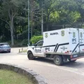 Homem invade jaula de leoa em zoológico e é devorado vivo no Brasil imagem