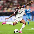 Jogador do Flamengo "inspira" lei apresentada por deputado federal imagem