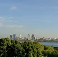 Rio São Francisco e o impacto na irrigação da fruticultura na Bahia imagem