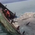 Pescadores ficam 20h à deriva após naufrágio na Bahia imagem