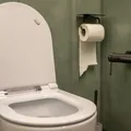 Por que jogar papel higiênico no vaso destrói seu encanamento imagem