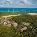 "Recuperar área degradada não é favor", diz advogada ambiental imagem
