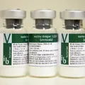 Vitória! Brasil aprova 1ª vacina de dose única contra a dengue imagem