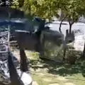 Vídeo mostra impacto forte do atropelamento de pintores em Guarajuba imagem