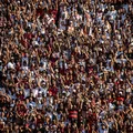 Vitória x Mirassol terá Barradão exclusivo para torcida rubro-negra imagem