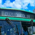 Carnaval de Salvador terá nova linha de ônibus gratuita imagem