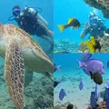 Mergulho em Salvador: a joia escondida que une turismo e preservação imagem