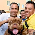 O que muda para clínicas e pet shops com nova lei de Salvador imagem