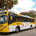 Salvador terá mais de 200 novos ônibus com ar-condicionado imagem