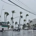 Alerta máximo! Ciclone pode provocar 200 mm de chuva até domingo imagem