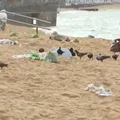 Verão aumenta geração de lixo e impacta turismo na Bahia imagem