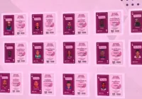 Baralho do Crime Lilás: entenda como a ferramenta vai funcionar