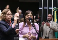 “Congresso não fortalece democracia", diz deputada sobre Dosimetria imagem