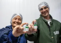 Vacina contra dengue já tem data para ser disponibilizada imagem