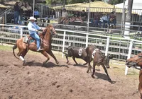 Dupla baiana brilha e leva título na final eletrizante de Ranch Sorting imagem