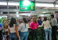 Cupulate e mais: os 4 doces mais curiosos do interior e onde provar imagem