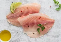 Peixe que não procria? A nova aposta para salvar a tilápia no Brasil