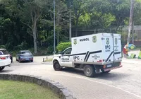 Homem invade jaula de leoa em zoológico e é devorado vivo no Brasil imagem