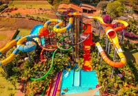 Parque brasileiro supera Disney e vira o quarto mais visitado do mundo imagem