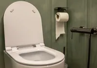 Por que jogar papel higiênico no vaso destrói seu encanamento imagem
