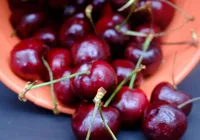 Praga perigosa faz Brasil destruir mais de uma tonelada de cerejas