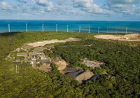 "Recuperar área degradada não é favor", diz advogada ambiental imagem
