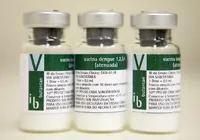 Vitória! Brasil aprova 1ª vacina de dose única contra a dengue imagem