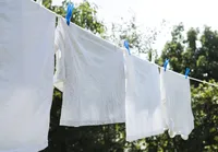 Fim do varal? Método chinês para secar roupas economiza até 200 horas imagem