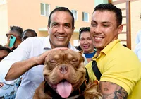 O que muda para clínicas e pet shops com nova lei de Salvador imagem