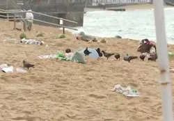 Verão aumenta geração de lixo e impacta turismo na Bahia - Imagem