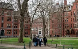 Estudos de Harvard na Bahia - Imagem