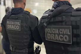 Armas e munições: megaoperação mira rede clandestina na Bahia - Imagem