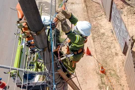 'Gatonet': Cabos irregulares de telefonia e internet serão removidos na Bahia - Imagem