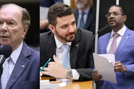 Cassação de Zambelli: veja como votou cada deputado da Bahia - Imagem