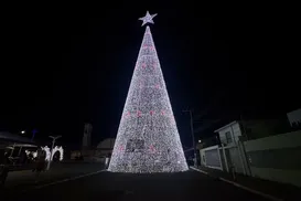 Cidade instala árvore de Natal na pista e bloqueia passagem de carros - Imagem