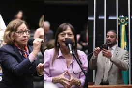 “Congresso não fortalece democracia", diz deputada sobre Dosimetria - Imagem