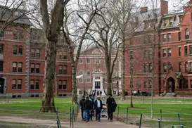 Estudos de Harvard na Bahia - Imagem